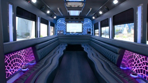 13 Passenger Mercedes Sprinter Van Interior